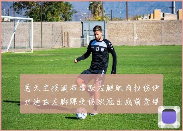 意天空报道布雷默右腿肌肉拉伤伊尔迪兹左脚踝受伤欧冠出战前景堪忧